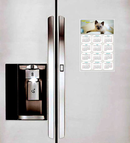 2025 Peel & Stick Calendar - Today is my Lucky Day Removable - Cat 013 (9"x 6")