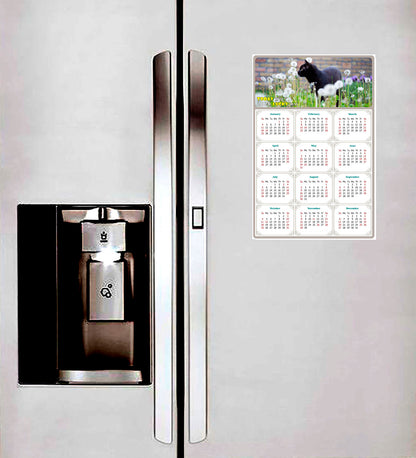 2026 Magnetic Calendar - Today is My Lucky Day (Fade, Tear, and Water Resistant)- Cat Themed 05