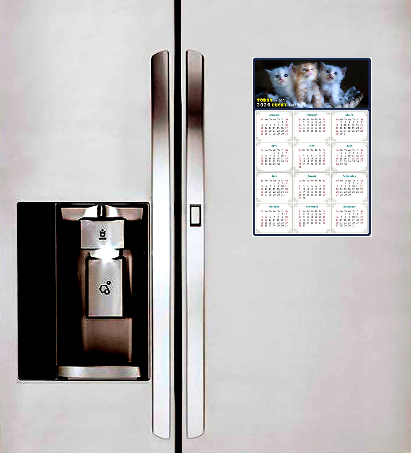 2026 Magnetic Calendar - Today is My Lucky Day (Fade, Tear, and Water Resistant)- Cat Themed 011