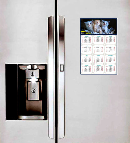 2026 Magnetic Calendar - Today is My Lucky Day (Fade, Tear, and Water Resistant)- Cat Themed 011