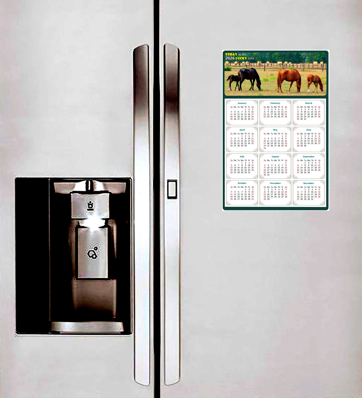 2026 Magnetic Calendar - Calendar Magnets - Today is my Lucky Day - (Fade, Tear, and Water Resistant) - Horses Themed 010