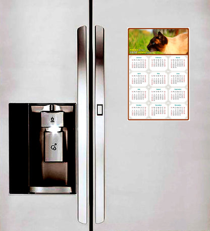 2026 Peel & Stick Calendar - Today is my Lucky Day Removable - Cat 03 (9"x 6")