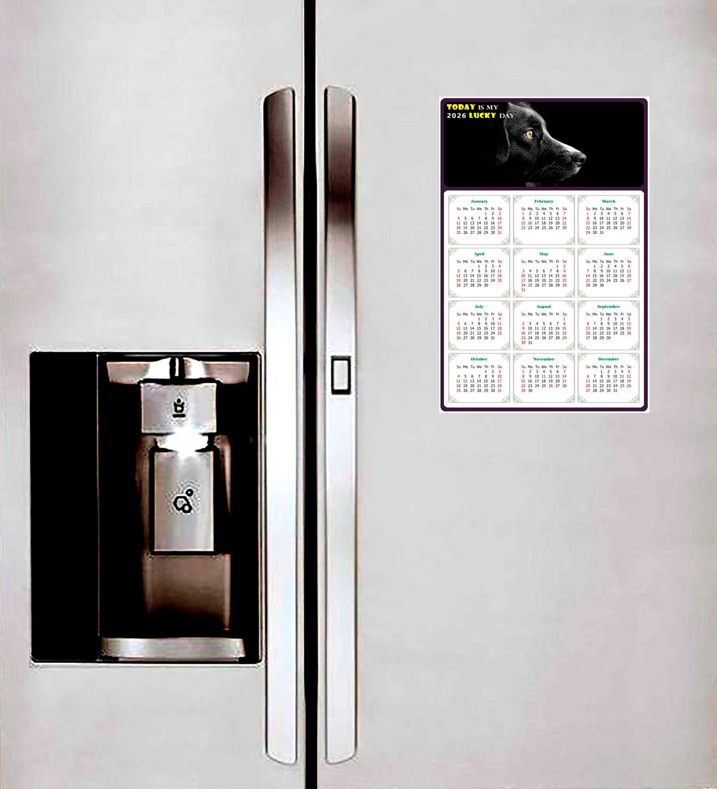 2026 Magnetic Calendar - Today is My Lucky Day (Fade, Tear, and Water Resistant)- Dogs Themed 05