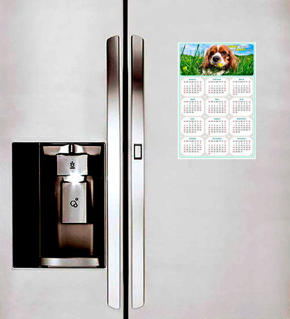 2025 Magnetic Calendar - Today is My Lucky Day (Fade, Tear, and Water Resistant)- Dogs Themed 06