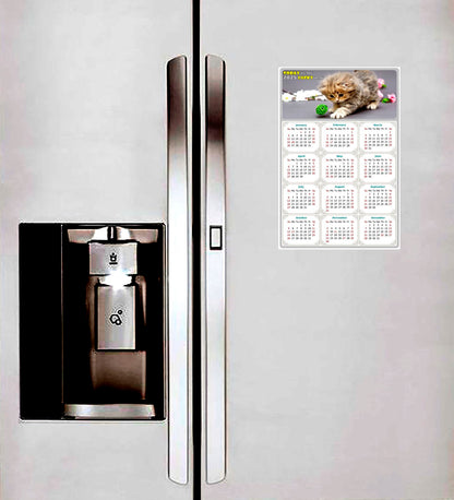 2025 Peel & Stick Calendar - Today is my Lucky Day Removable - Cat 017 (12"x 8")