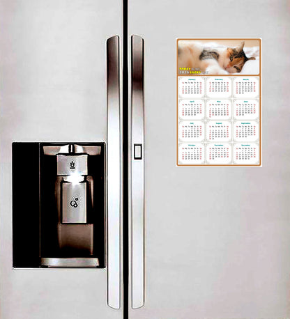 2026 Peel & Stick Calendar - Today is my Lucky Day Removable - Cat 04 (12"x 8")