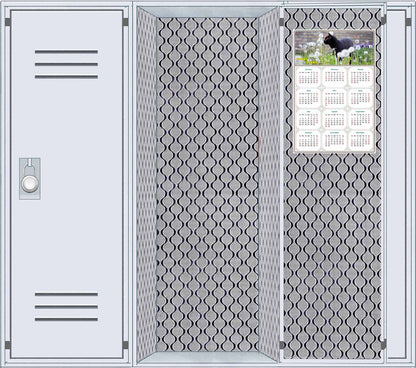 2026 Magnetic Calendar - Today is My Lucky Day (Fade, Tear, and Water Resistant)- Cat Themed 05