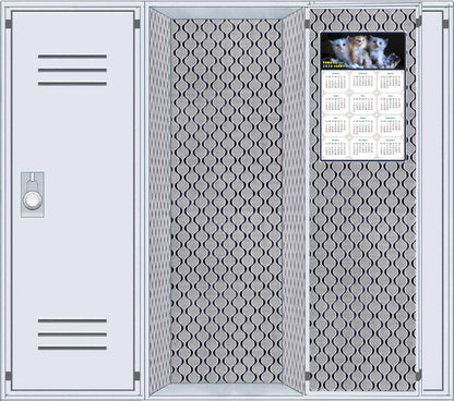 2026 Magnetic Calendar - Today is My Lucky Day (Fade, Tear, and Water Resistant)- Cat Themed 011