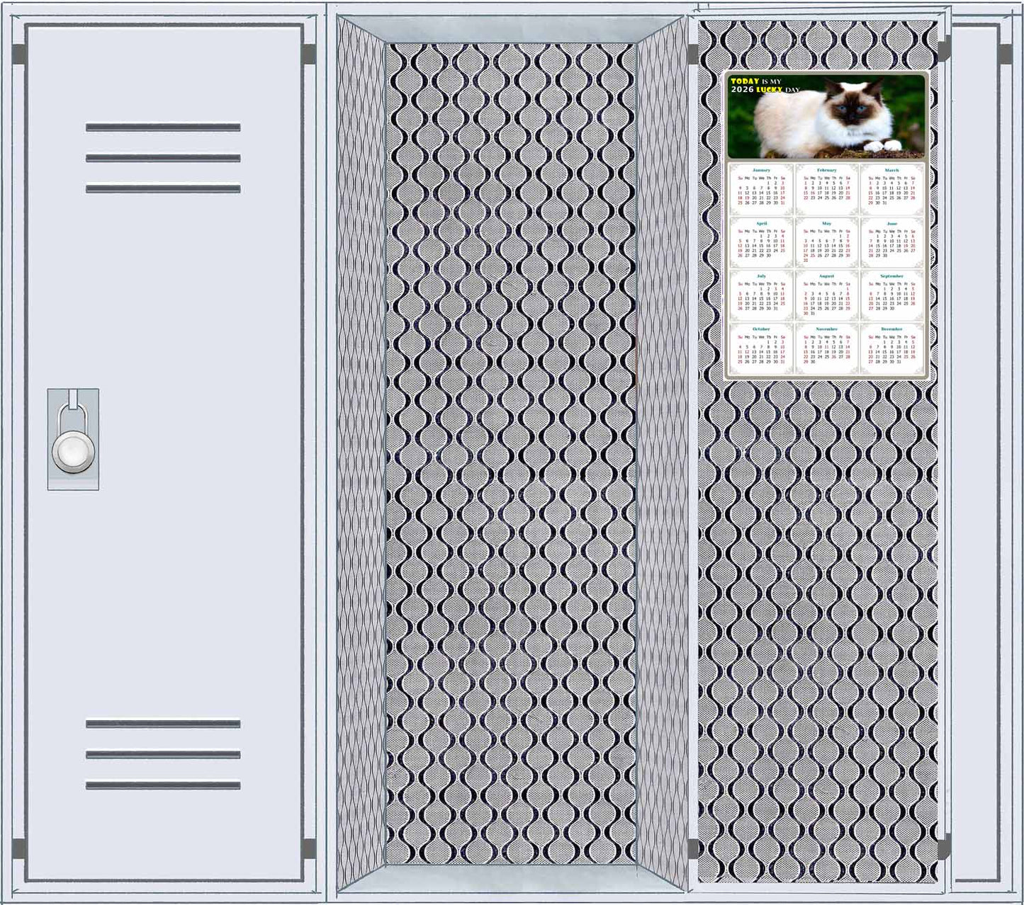 2026 Magnetic Calendar - Today is My Lucky Day (Fade, Tear, and Water Resistant)- Cat Themed 02