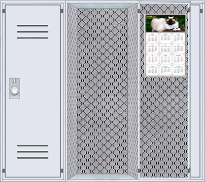 2026 Magnetic Calendar - Today is My Lucky Day (Fade, Tear, and Water Resistant)- Cat Themed 02