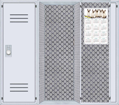 2026 Magnetic Calendar - Today is My Lucky Day (Fade, Tear, and Water Resistant)- Cat Themed 020