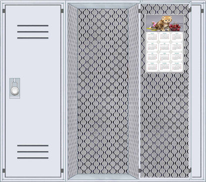 2026 Magnetic Calendar - Today is My Lucky Day (Fade, Tear, and Water Resistant)- Cat Themed 016