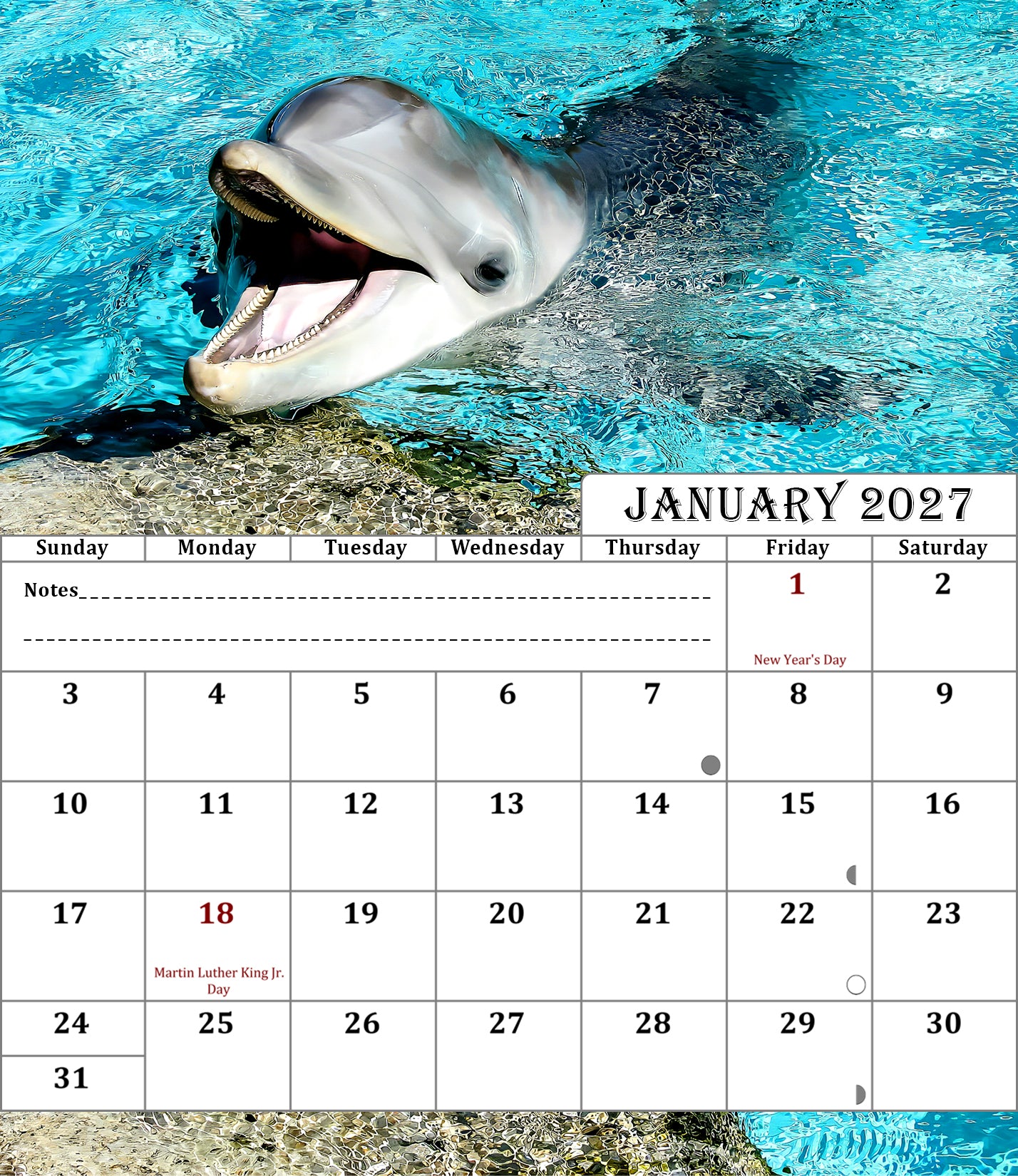 2027 CD-Style Desk Calendar 12 Months Calendar (Dolphins)