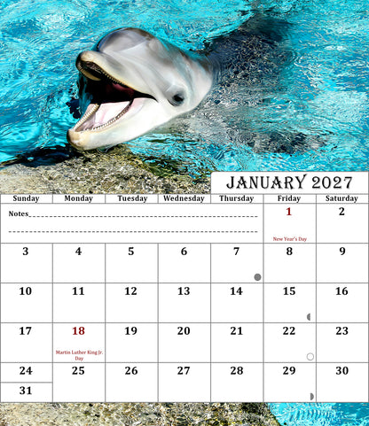 2027 CD-Style Desk Calendar 12 Months Calendar (Dolphins)