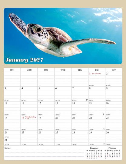 2027 Calendar Magnetic Peel & Stick 12 Months 8.5" x 11" Turtles