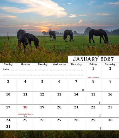 2026-2027 CD-Style Desk Calendar 18 Months Calendar (Horses)