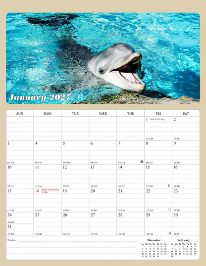 2027 Calendar Magnetic Peel & Stick 12 Months 8.5" x 11" Dolphins