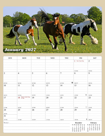 2027 Calendar Magnetic Peel & Stick 12 Months 8.5" x 11" Horses