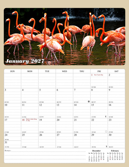 2027 Calendar Magnetic Peel & Stick 12 Months 8.5" x 11" Birds