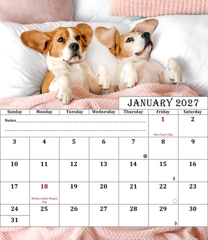 2027 CD-Style Desk Calendar 12 Months Calendar (Dogs)