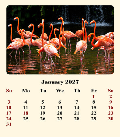 2027 CD-Style Desk Calendar 12 Months Calendar (Birds)