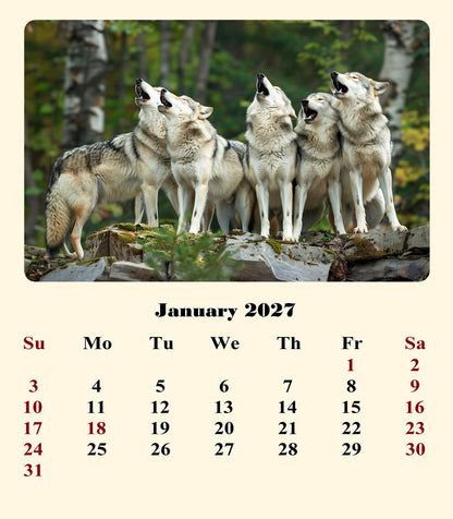 2026-2027 CD-Style Desk Calendar 18 Months Calendar (Wolves)