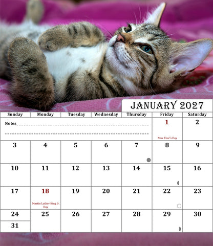 2027 CD-Style Desk Calendar 12 Months Calendar (Cats)