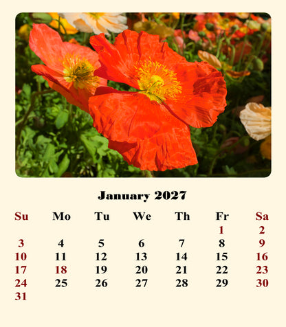 2026-2027 CD-Style Desk Calendar 18 Months Calendar (Flowers)