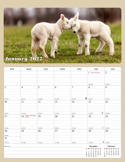 2027 Calendar Magnetic Peel & Stick 12 Months 8.5" x 11" Baby Animals