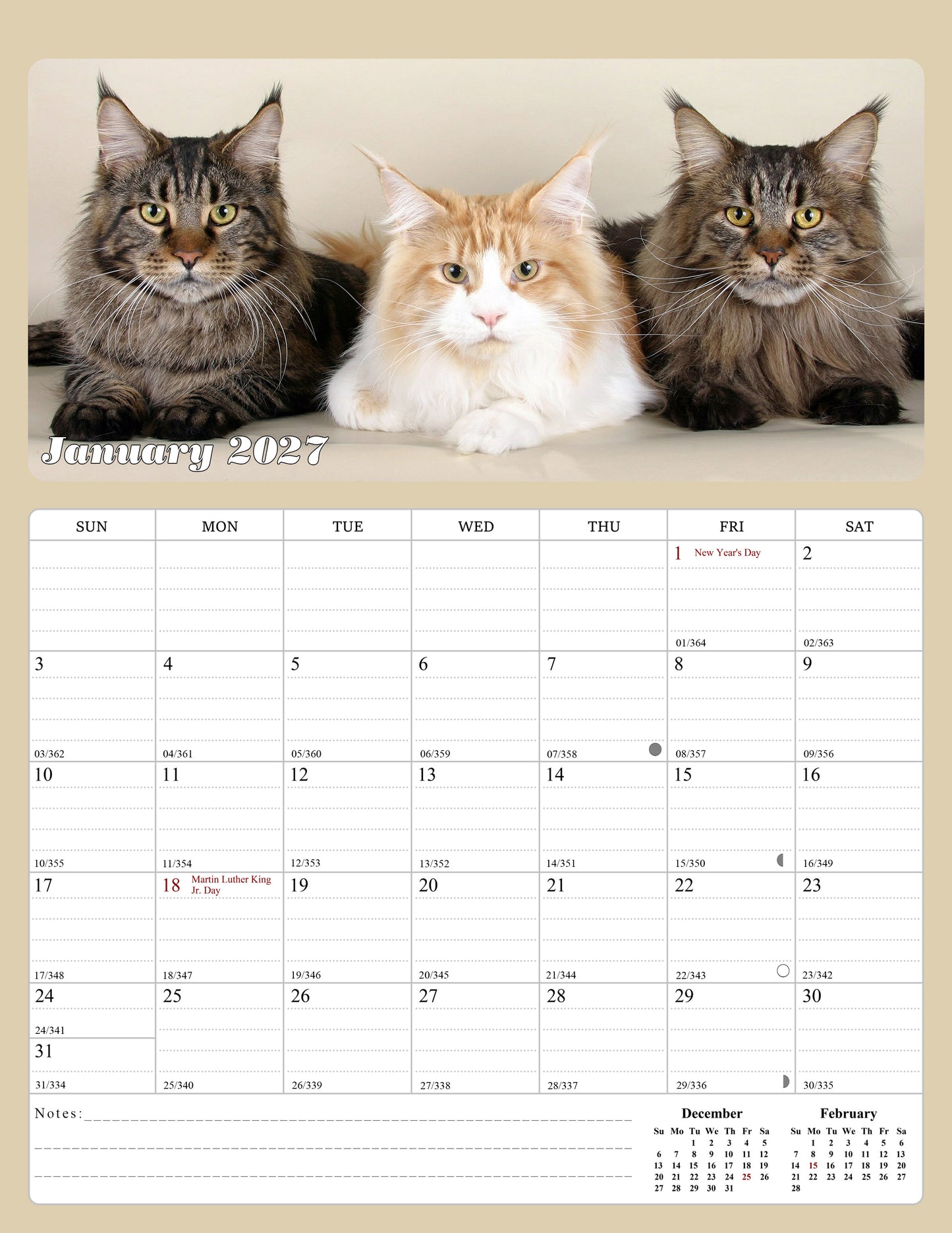 2027 Calendar Magnetic Peel & Stick 12 Months 8.5" x 11" Cats
