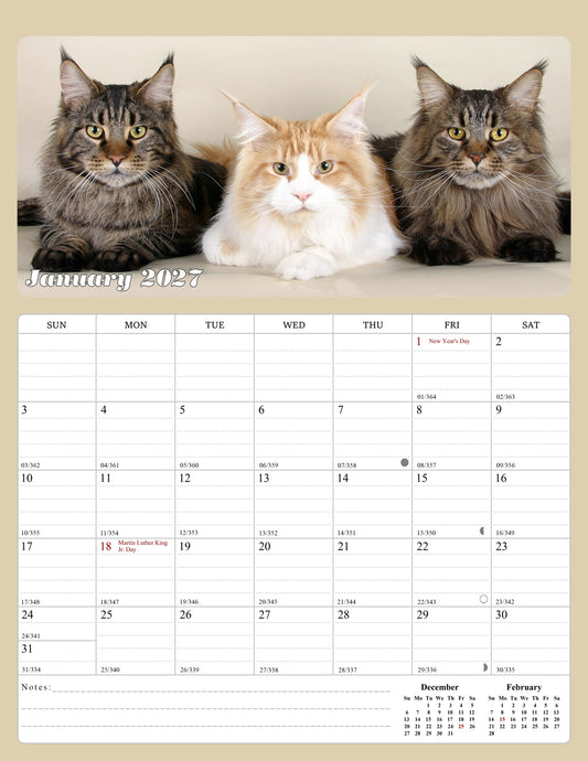2027 Calendar Magnetic Peel & Stick 12 Months 8.5" x 11" Cats