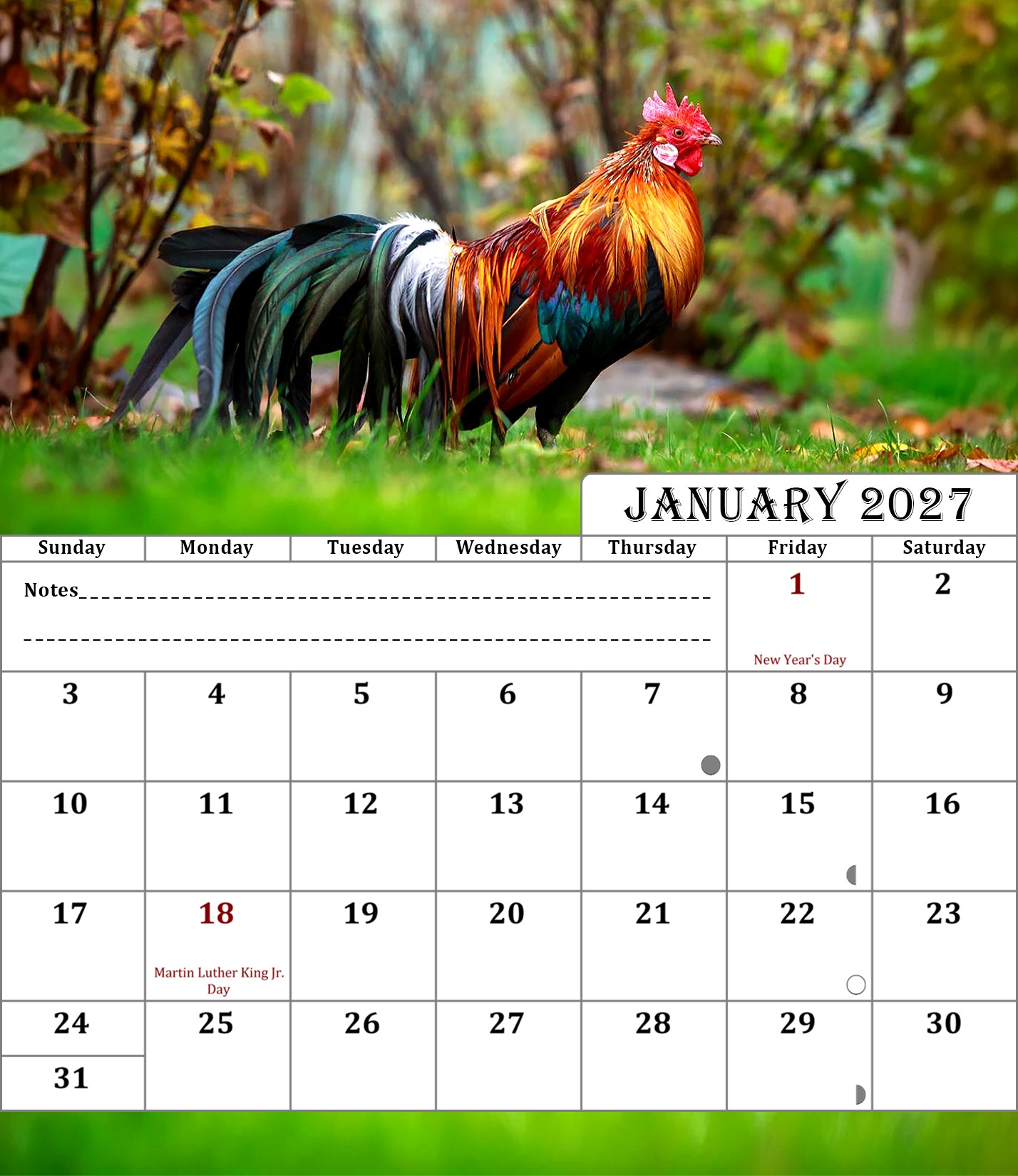 2027 CD-Style Desk Calendar 12 Months Calendar (Roosters)