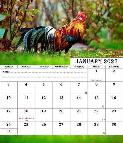 2027 CD-Style Desk Calendar 12 Months Calendar (Roosters)