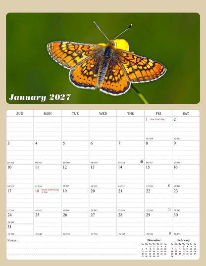 2027 Calendar Magnetic Peel & Stick 12 Months 8.5" x 11" Butterflyes