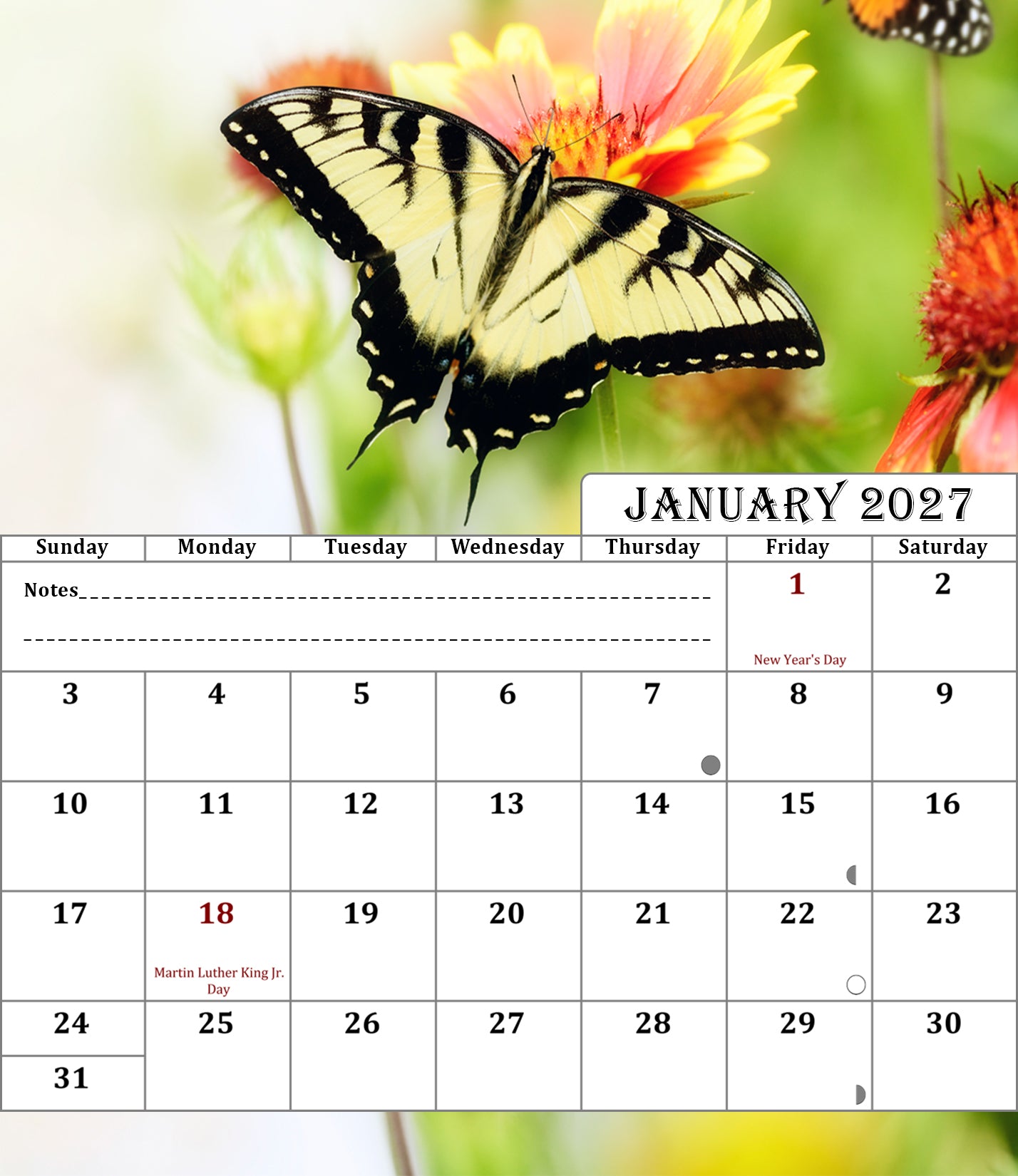 2027 CD-Style Desk Calendar 12 Months Calendar (Butterflies)