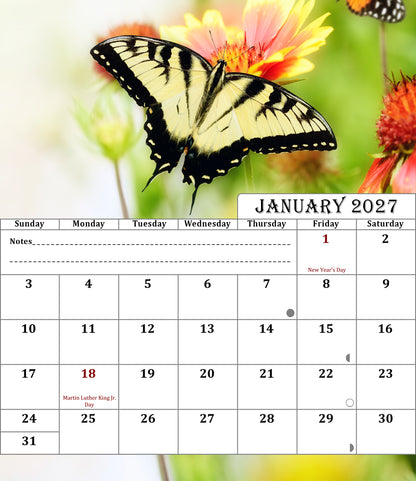 2027 CD-Style Desk Calendar 12 Months Calendar (Butterflies)