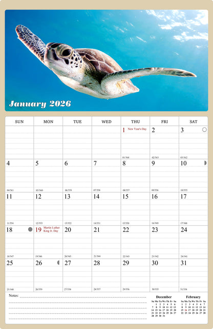2026 Wall Calendar Spiral-bound Twin-Wire Binding - 12 Months Planner - Large Ruled Blocks with Julian Dates - (Turtles)