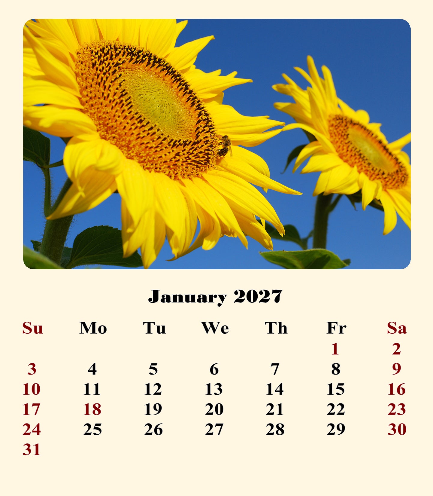 2027 CD-Style Desk Calendar 12 Months Calendar (Sunflowers)