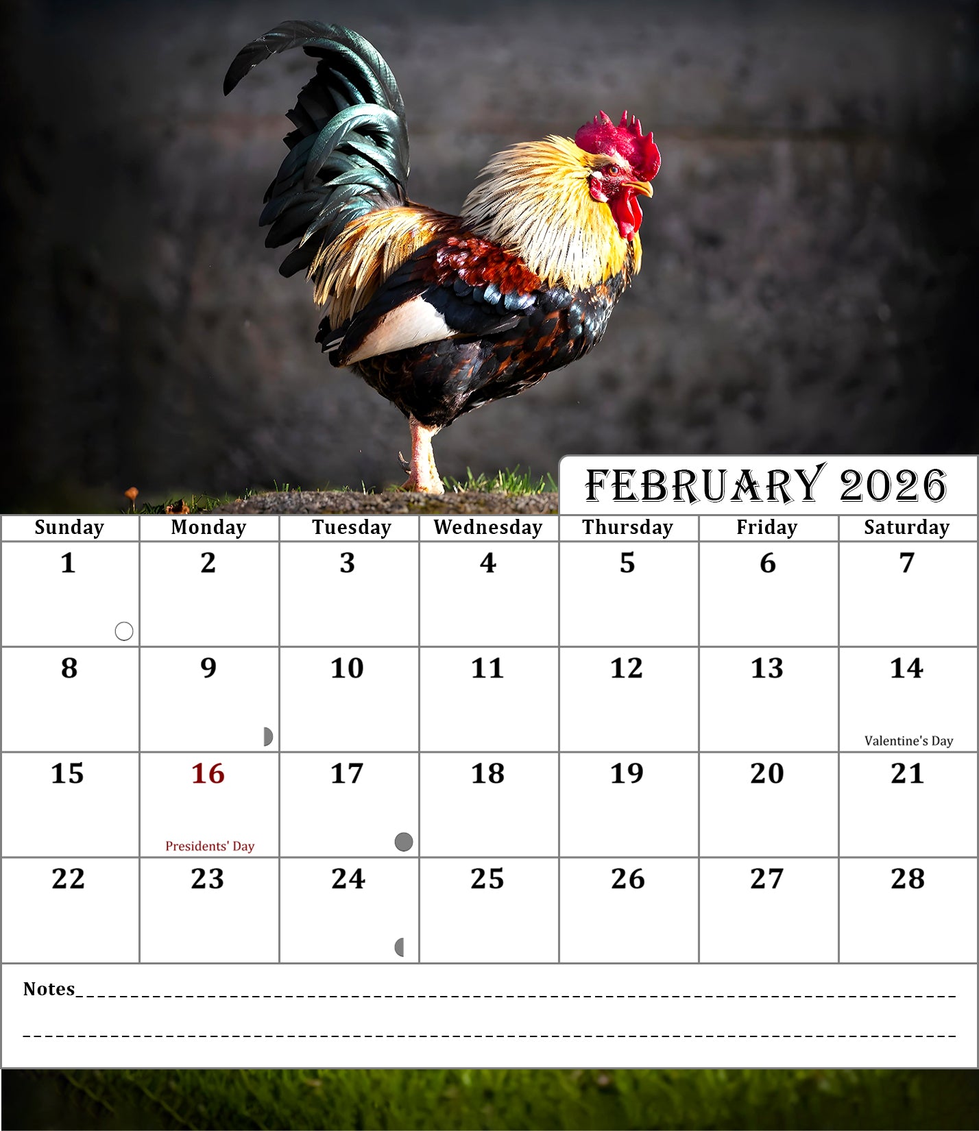 2025-2026 CD-Style Desk Calendar 18 Months Calendar (Roosters)