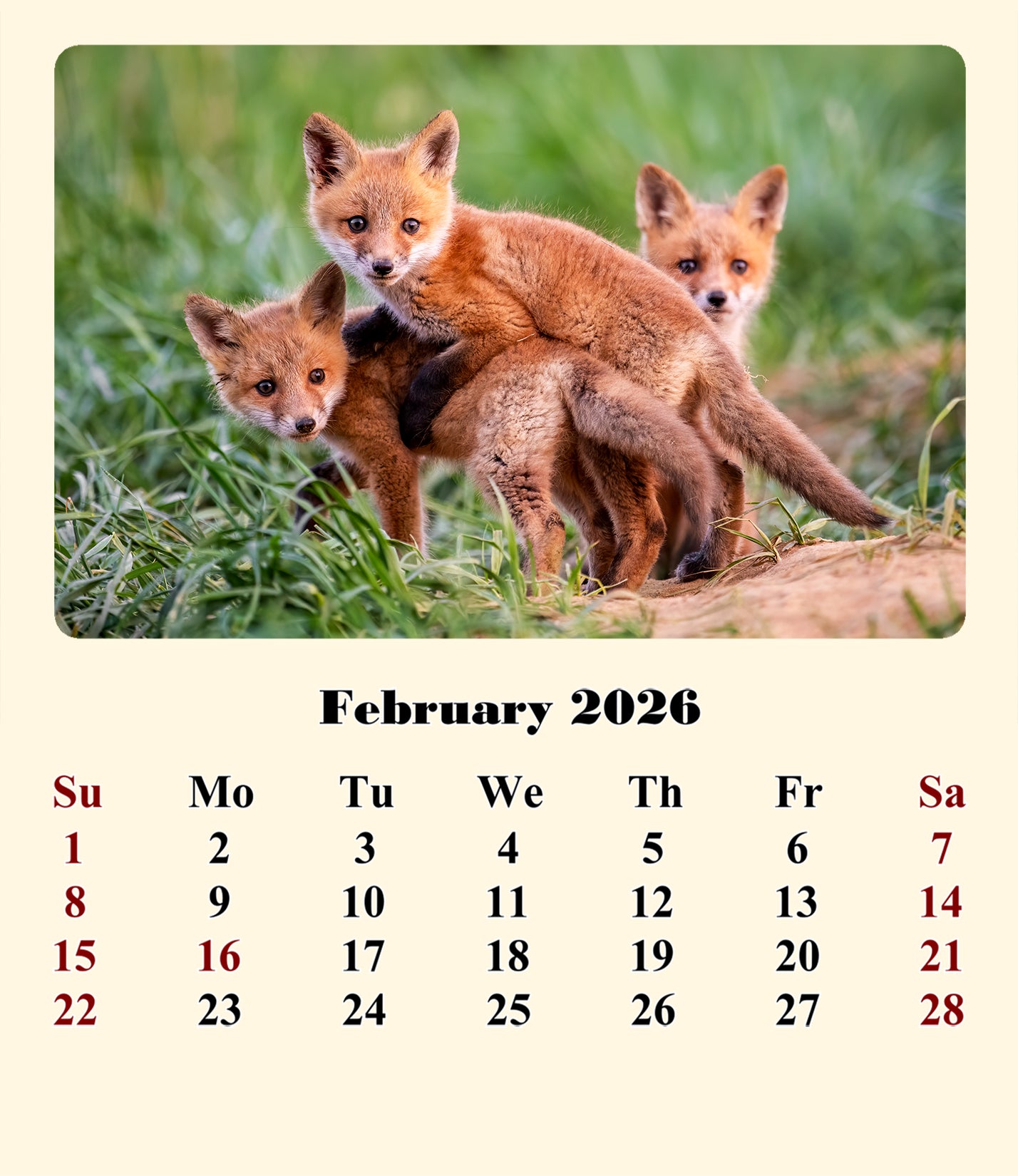 2025-2026 CD-Style Desk Calendar 18 Months Calendar (Baby Animals)