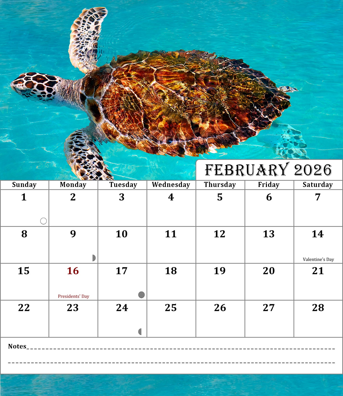 2025-2026 CD-Style Desk Calendar 18 Months Calendar (Turtles)