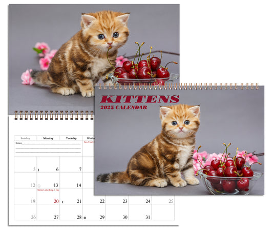 2025 Spiral-bound Wall Calendar (Kittens) - 12 Months Desktop/Wall Calendar/Planner