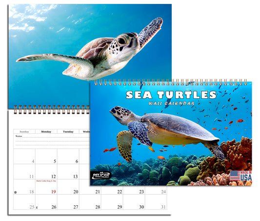 2026 Spiral-bound Wall Calendar (Sea Turtles) - 12 Months Desktop/Wall Calendar/Planner