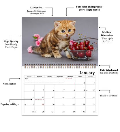 2026 Spiral-bound Wall Calendar (Kittens) - 12 Months Desktop/Wall Calendar/Planner
