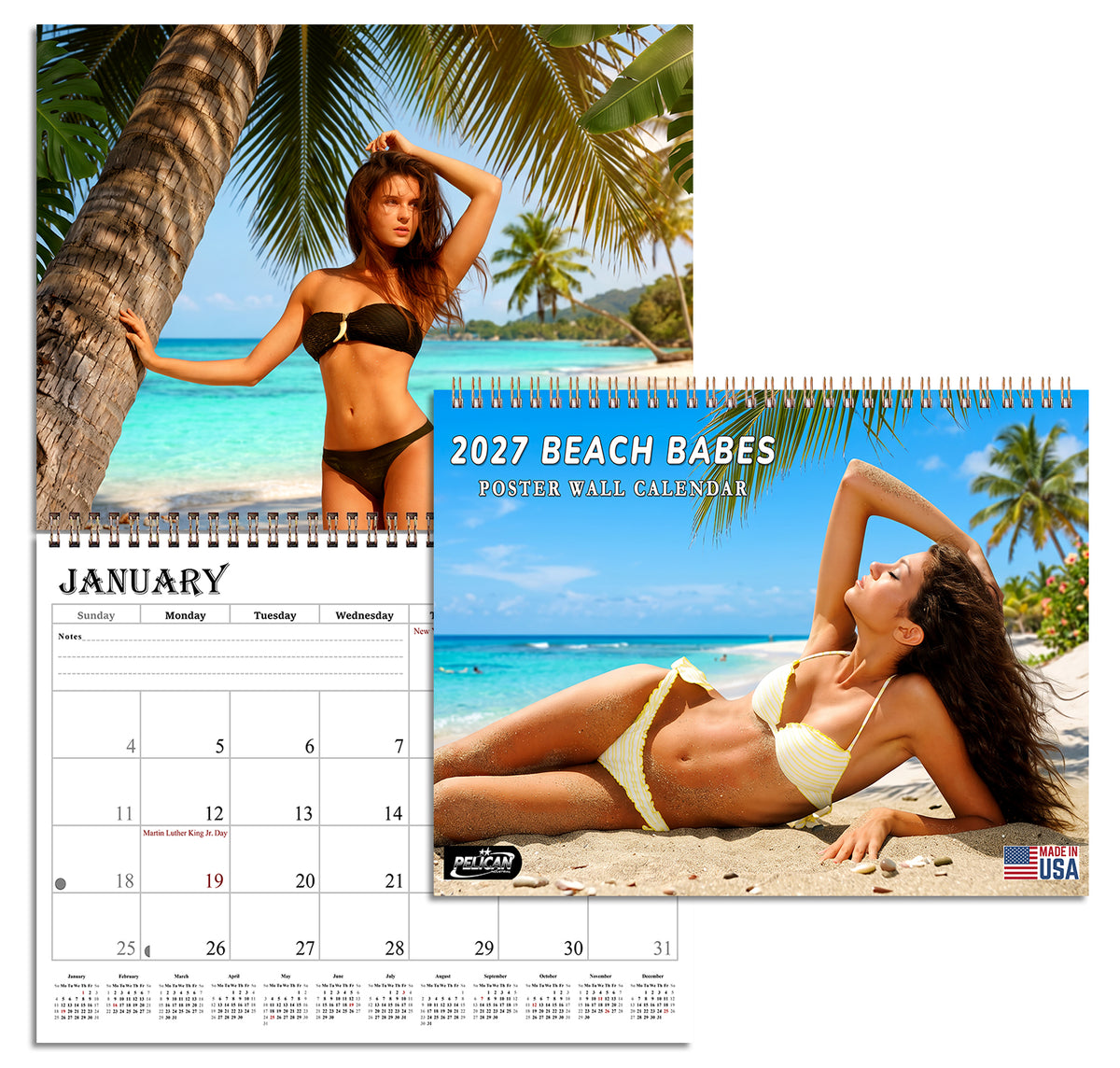 2027 Wall Calendar Beach Babes Bikini Women Models - 12 Months Desktop (11x17)