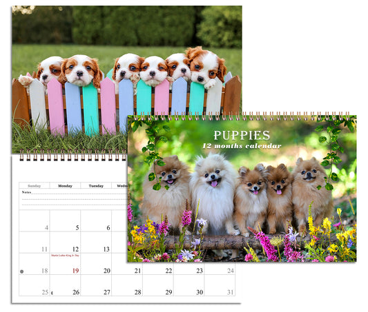 2026 Spiral-bound Wall Calendar (Puppies) - 12 Months Desktop/Wall Calendar/Planner