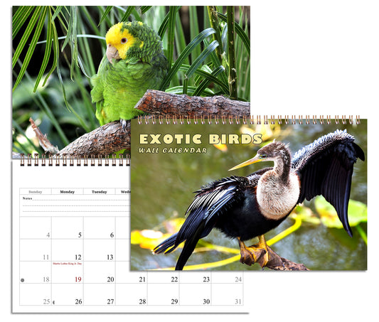 2027 Spiral-bound Wall Calendar (Exotic Birds) - 12 Months Desktop/Wall Calendar/Planner