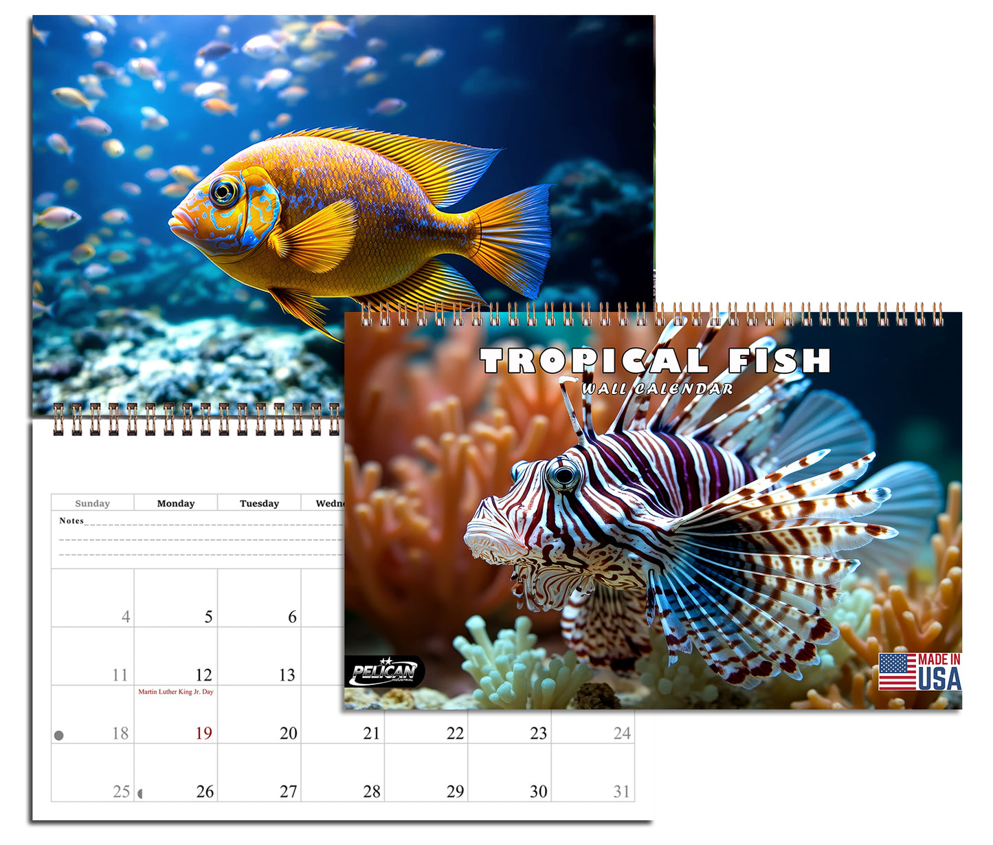 2027 Spiral-bound Wall Calendar (Tropical Fishes) - 12 Months Desktop/Wall Calendar/Planner