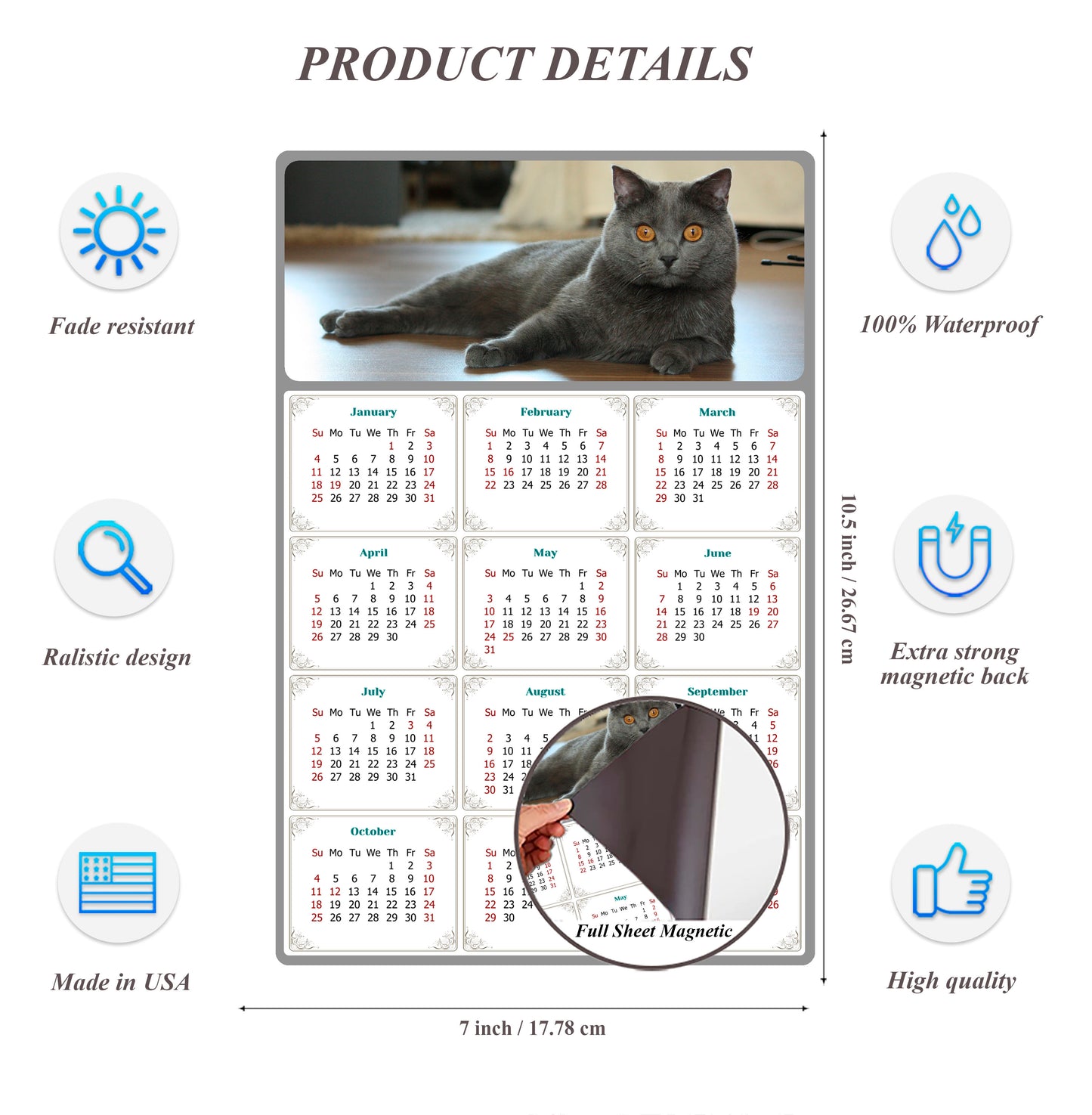 2026 Magnetic Calendar - Today is My Lucky Day (Fade, Tear, and Water Resistant)- Cat Themed 014