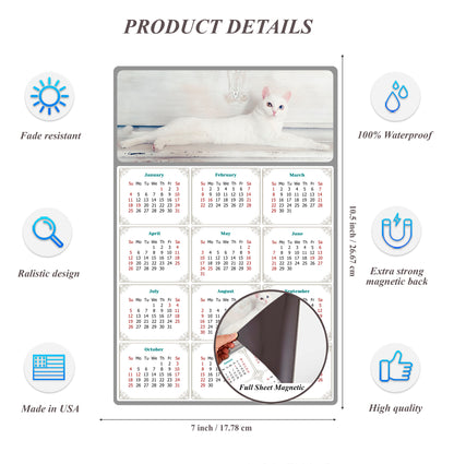 2026 Magnetic Calendar - Today is My Lucky Day (Fade, Tear, and Water Resistant)- Cat Themed 06